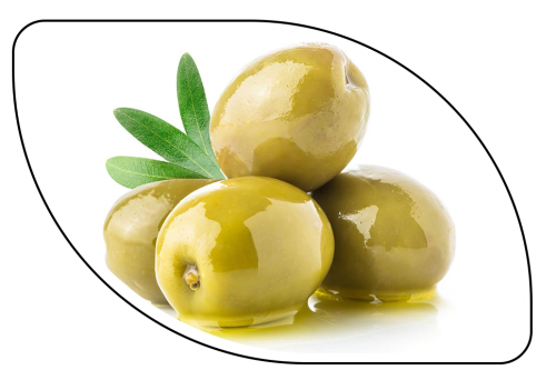 خواص شگفت‌انگیز زیتون؛ طلای سبز سلامتی