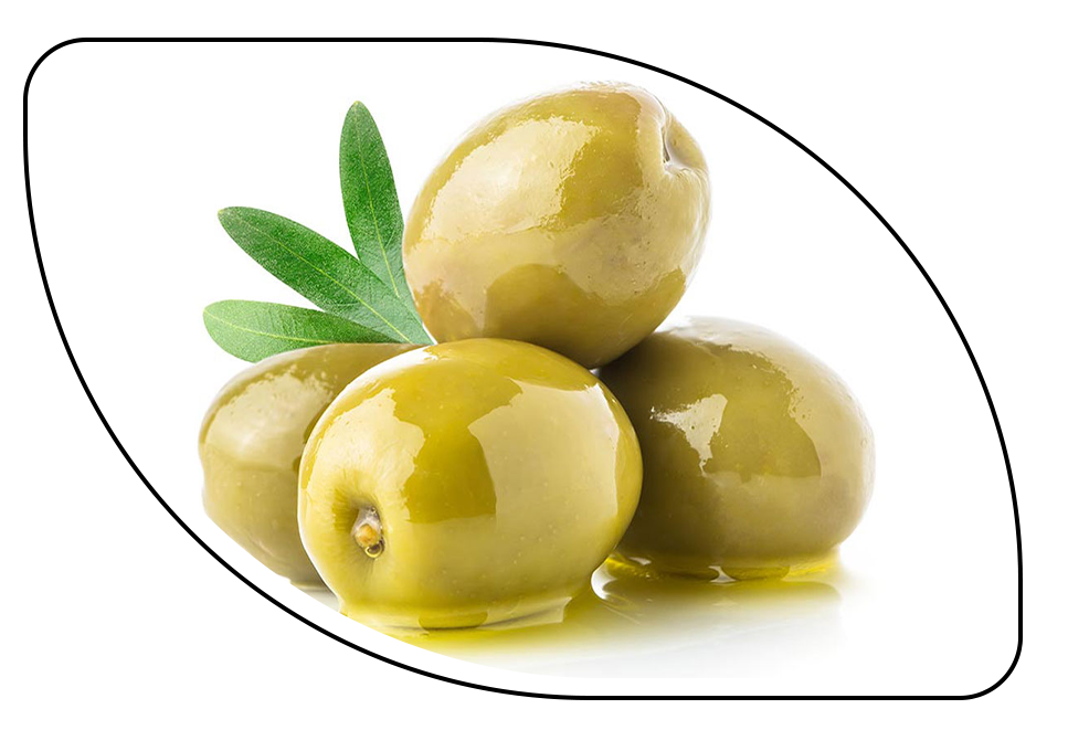 خواص شگفت‌انگیز زیتون؛ طلای سبز سلامتی